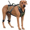 ANAFNI Easy Walk No Pull Dog Harness for Large Dogs,