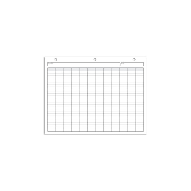BookFactory 12 Columns Columnar Sheets/Twelve Column Loose Sheet Format -