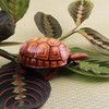 Freak Scene Tin Toy – Tortoise Made of Tin –