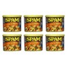 Spam 25% Less Sodium Than Spam Classic: 6 Packs of