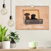 Labrador - Welpen (Wandkalender 2026 DIN A4 quer), CALVENDO Monatskalender: