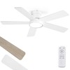 Fanbulous 42 Inch Ceiling Fans with Lights and Remote,Indoor Modern