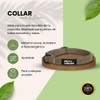 perro collective Dog Collar, Lead and Poop Bag Set, Brown,