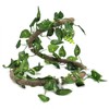 Reptile Climbing Branch Flexible Jungle 3.28ft Rattan 1Pc Vine(3.28ft Rattan+Scindapsus