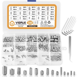 Vigrue 300 Pieces M2.5 M3 M4 M5 M6 M8 Stainless Steel Threaded Screws with Allen Keys