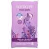 Natracare Natural Feminine Night Time Maxi Pads, Extra Long, 10