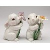 Appletree Appletree Designs Cosmos 10588 Salt & Pepper Shaker, 1