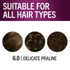 Schwarzkopf Keratin Permanent Hair Color, 6.0 Delicate Praline, 1 Application