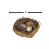 The Bridge Collection Faux Decorative Bird's Egg Nest - Cute