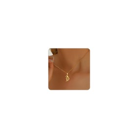 ARAVOP Pendant Necklaces for Women 18K Gold Plated Cubic Zirconia Dolphin Heart Necklace Dainty Ocean Jewelry Gift