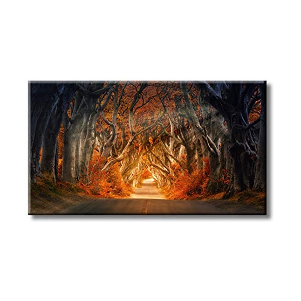 Autumn Forest Pathway Leading to Light Picture on Stretched Canvas