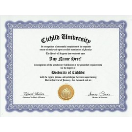 Cichlid Degree: Custom Gag Diploma Doctorate Certificate (Funny Customized Joke Gift - Novelty Item)