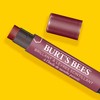 Burt's Bees Burt's Bees Shimmer Lip Tint Valentines Day Gifts,