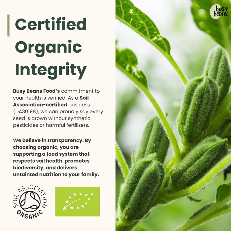 Organic Milled Chia Seeds (500g) | Superfood Powder | High