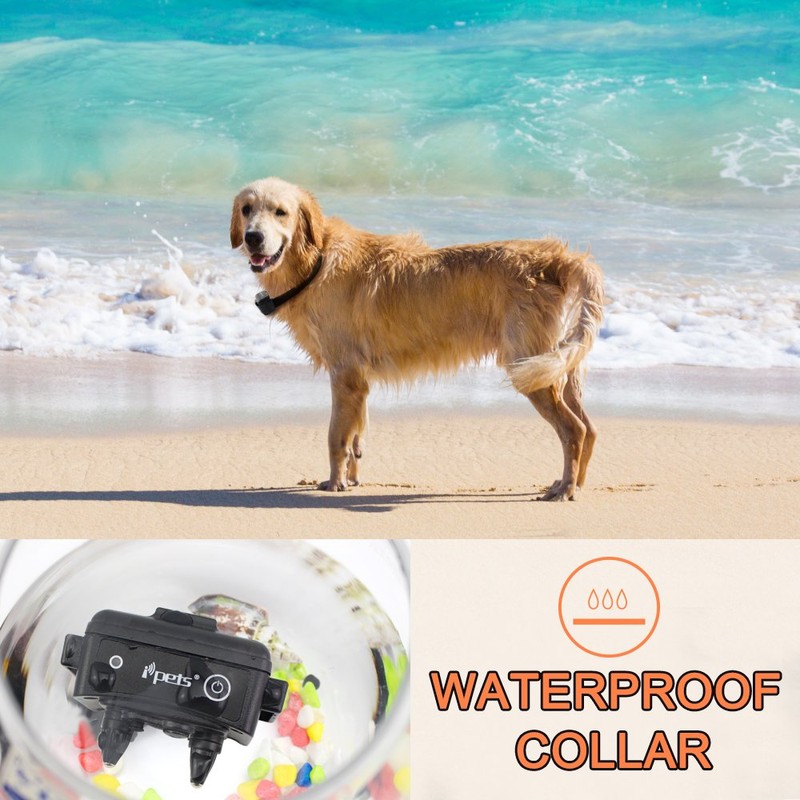 IPETS PET619S 100% Waterproof & Rechargeable Dog Shock Collar 900