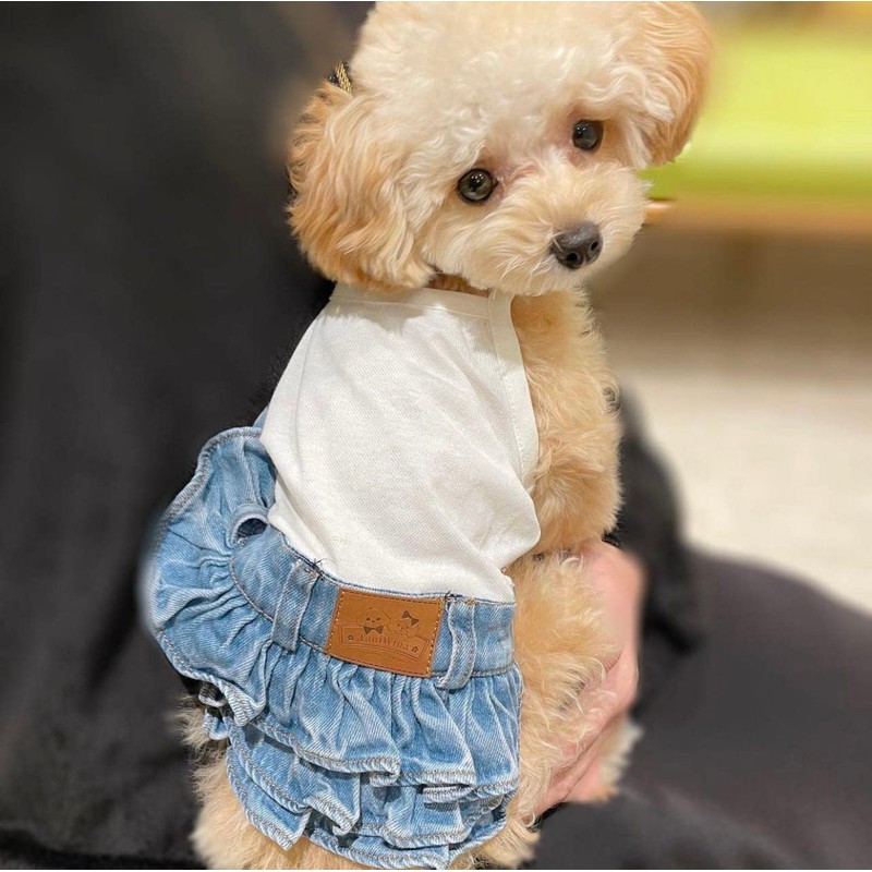 TaniWina - Disfraz de mascota para perros pequeños (base blanca