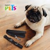 Fancy Pets Correa con Collar de Nylon para Perro con