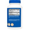Nutricost Wormwood Capsules 450mg 120 Capsules - Vegetarian Caps, Gluten