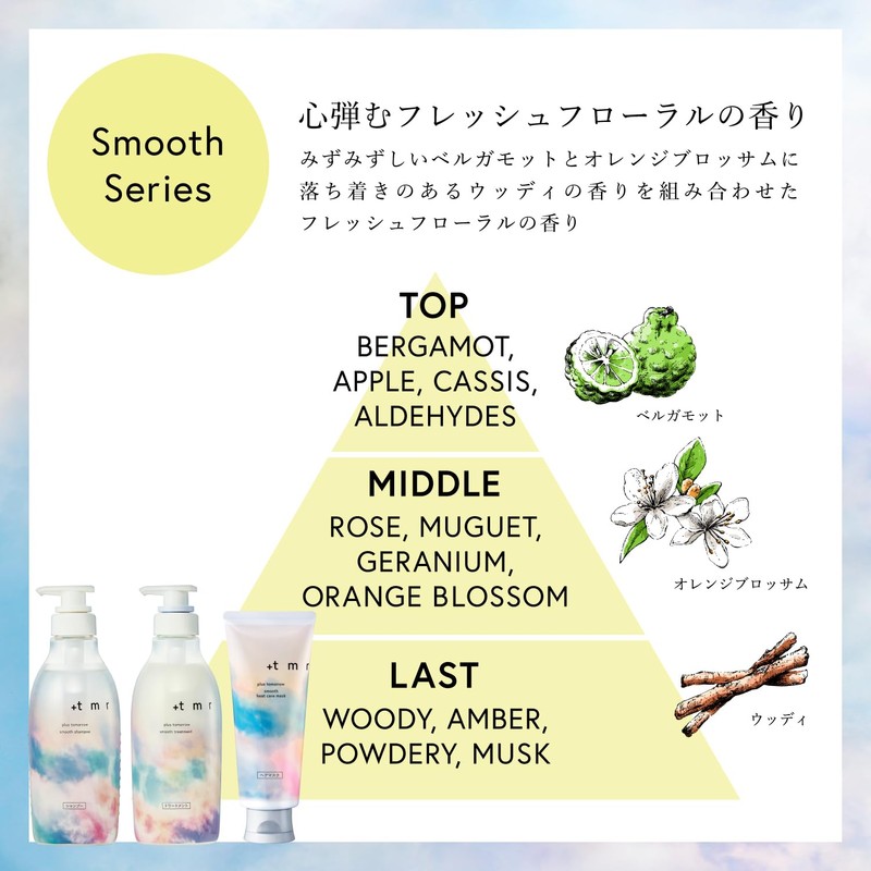 Plastomolu +tmr Smooth Shampoo Refill, 13.5 fl oz (400 ml)