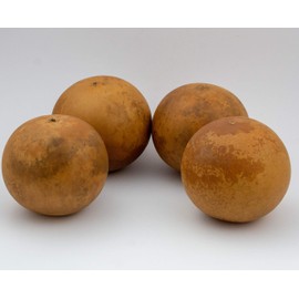 Cannon Ball Gourds, Box of 20, washed and ready to craft!