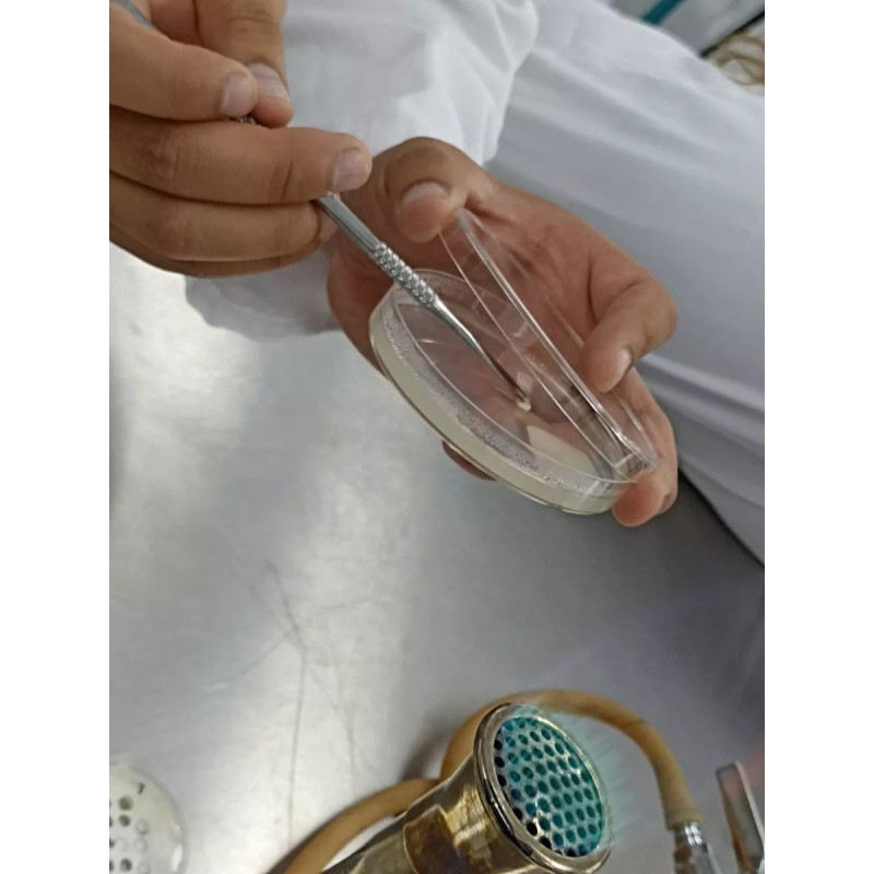 MYCELIUM Caja Petri Estéril Plástico 100x15 Mm (paquete 10 Pzs)