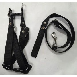 Pechera Con Correa Y Collar Para Perro Chico A Mediano 3 Pzs