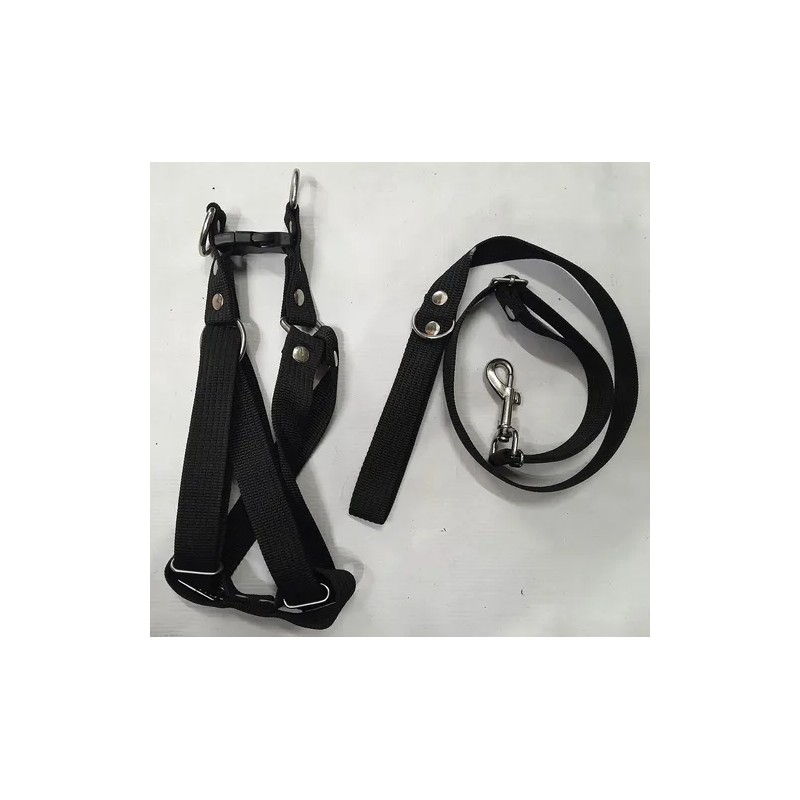 Pechera Con Correa Y Collar Para Perro Chico A Mediano