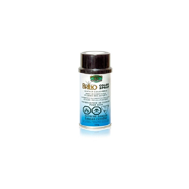 Moneysworth & Best Brillo Leather/Vinyl/Plastic Color Re Spray Dye/Paint 12
