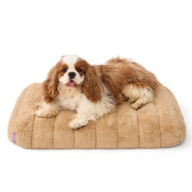 Lesure Cute Orthopedic Dog Bed for Medium Size Dogs, Waterproof Chic Flat Pet Mat with Removable Washable Cover, Fuzzy Thick Egg Crate Foam Pet Mattress for Indoor Use (30" x 20", Beige)