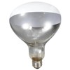 Little Giant® Bulb for Brooder Lamp | Heat Lamp |