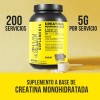 Creatina Monohidratada Mr. Yellow Sabores 200 Servicios 1kg Moras