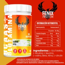 Aminoácidos Bcaas  Glutamina Fenix Protein 1kg Sabores                                                                                                