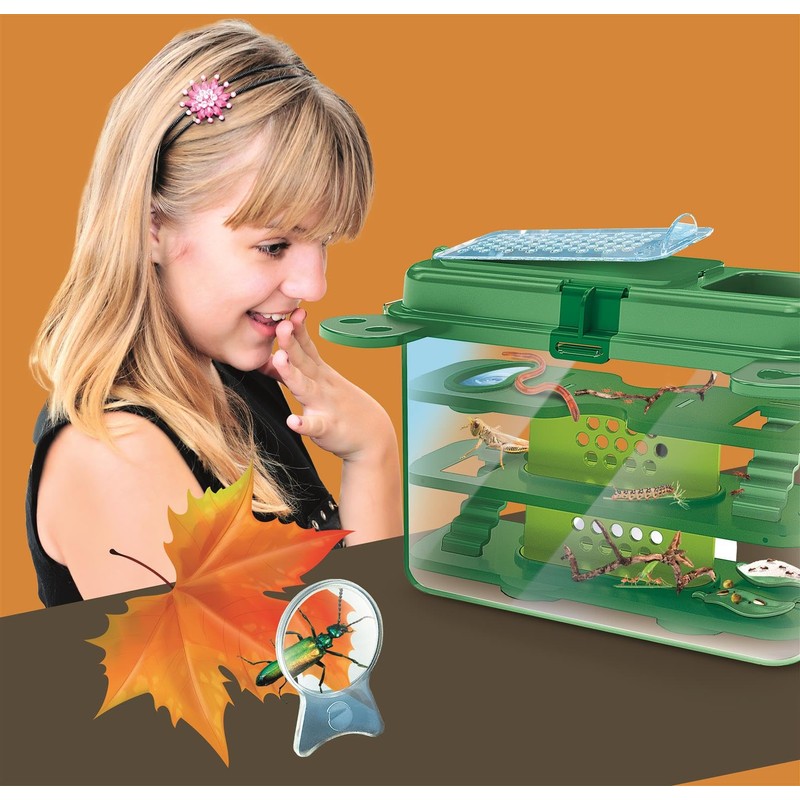 The House of Insects