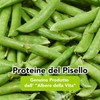 Pea Protein Powder Organic 400 g Pea Protein Powder Vegan