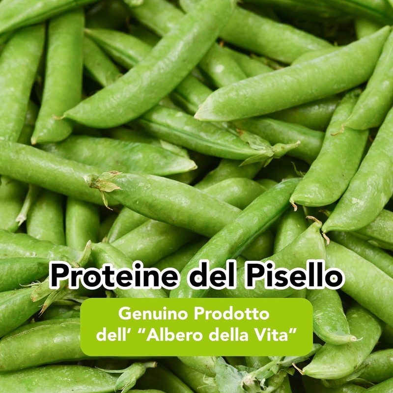 Pea Protein Powder Organic 400 g Pea Protein Powder Vegan