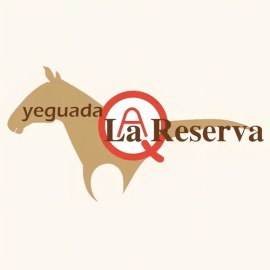2 Shampoo Del Caballo Para Uso Humano Yeguada Reserva                                                                                                 