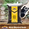 Rani Black Mustard Seeds Whole Spice (Kali Rai) 7oz (200g)