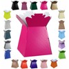 Glossy Vibrant Bouquet, Flower Box/Vase - Transportation Display, Presentation Boxes
