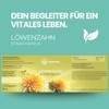 Löwenzahn Kapseln hochdosiert – 120 Kapseln mit 1200mg Löwenzahnwurzelextrakt –