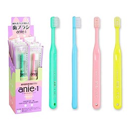 Sea Selection ANNIE 1, Assorted, Medium, 12 Pieces