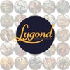 Lygond Metal Sign Tin Sign Circular Stained Glass Gray Wolf