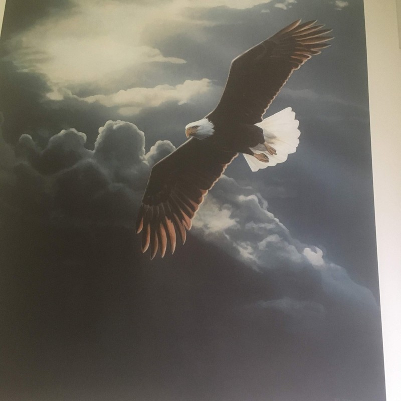 Limited Edition Print Out of The Storm-Eagle-Terry Isaac
