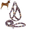 Petsyards Dog Harness and Leash Set, No Pull Step in
