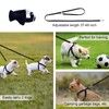 Dog Harness and Leash Set, XXS No Pull Adjustable Puppy