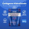 Colágeno Hidrolizado Cloruro De Magnesio 500 Grs Flow Sabor Açaí
