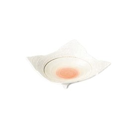 Yamashita Kogei 905706259 Sashimi Plate, Ischin Raster Cutting Square Pot, 7.1 x 7.1 x 2.4 inches (18 x 18 x 6 cm)
