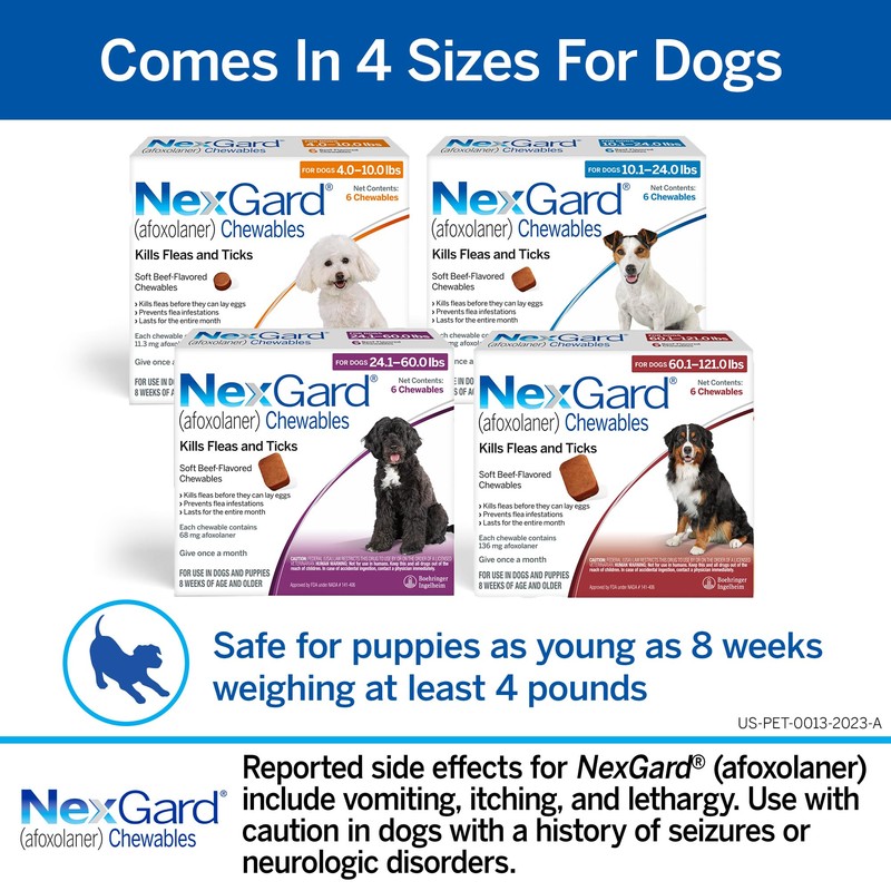 NexGard® (afoxolaner) Flea and Tick Protection for Dogs Oral Soft