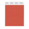 PANTONE Smart 18-1450X Color Swatch Card, Mecca Orange