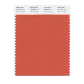 PANTONE Smart 18-1450X Color Swatch Card, Mecca Orange