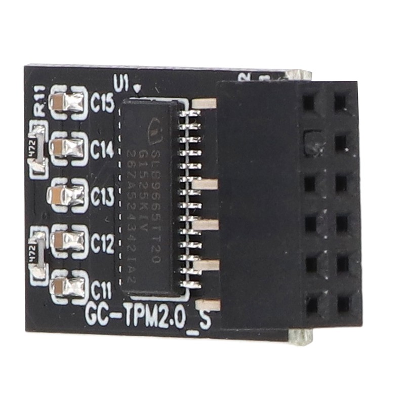 TPM 2.0 Module LPC SPI 12Pin Remote Card Encryption Security